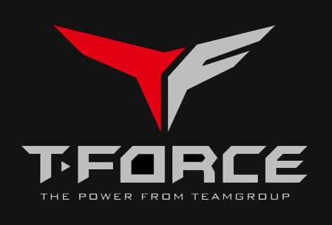 Team Group T-FORCE DELTA MAX RGB LITE 2.5